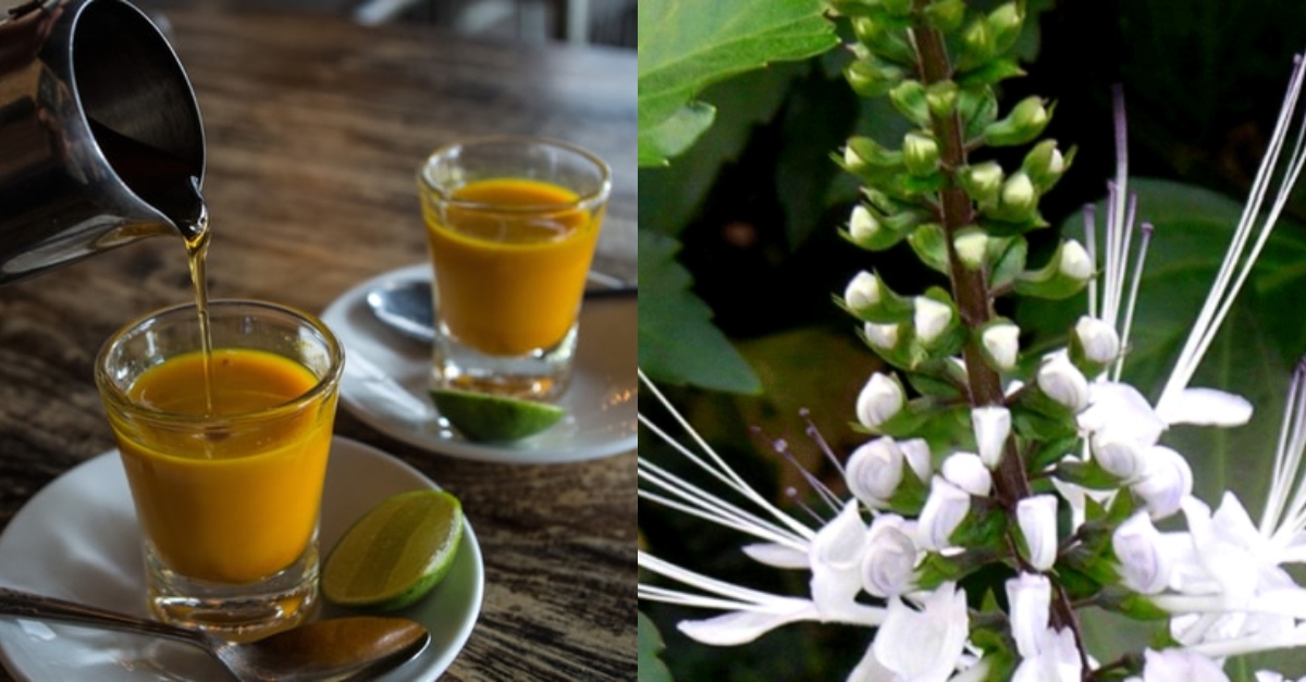 Obat Herbal Jamu Kumis Kucing Untuk Gagal Ginjal Begini Caranya Mengolahnya